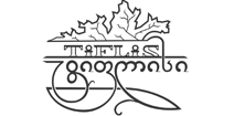 Tiflisi Vajaze